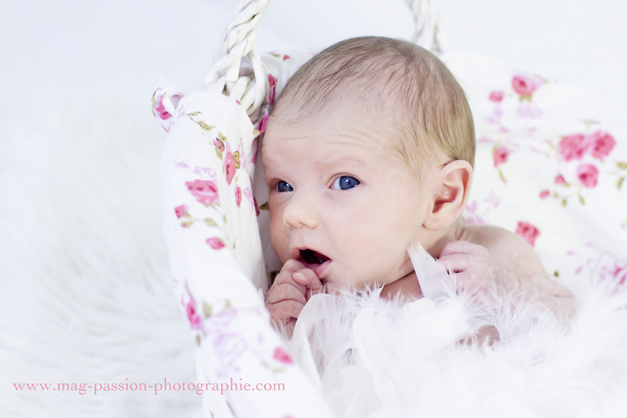 IMG_3081 as Smart Object-1